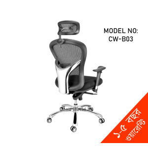 Ergonomic Chair