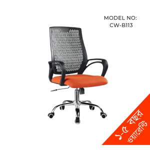 Ergonomic swivel chair CW-B 113